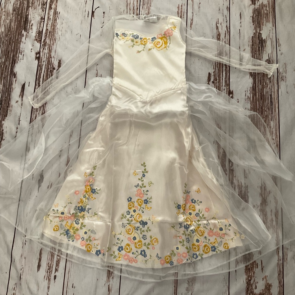NEW CINDERELLA COSTUME BY DISGUISE